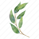 eucalyptus, watercolor, leaves, bouquet, branch, botanical, foliage