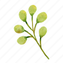 eucalyptus, watercolor, leaves, bouquet, branch, botanical, foliage 