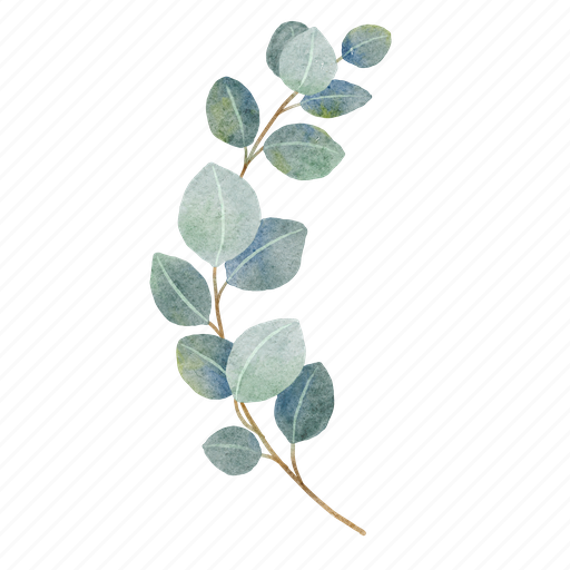 Eucalyptus, watercolor, leaves, bouquet, branch, botanical, foliage icon - Download on Iconfinder