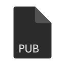 pub, file, extension, format