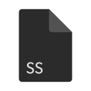 ss, file, extension, format