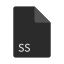 ss, file, extension, format 