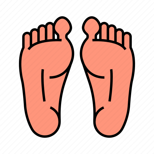Anatomy, body, feet, leg, limb, sole icon - Download on Iconfinder