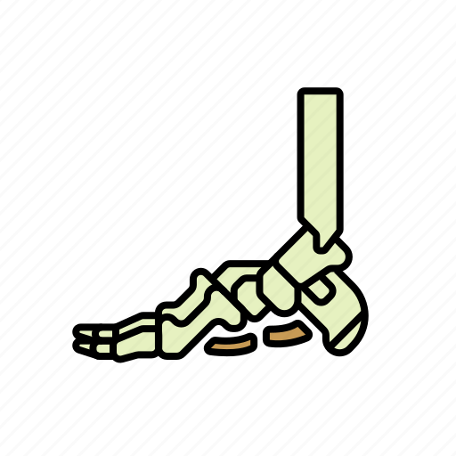 Anatomy, body, bones, foot, leg, limb icon - Download on Iconfinder