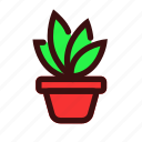 plant, leaf, garden, flower, pot, botany, bonsai