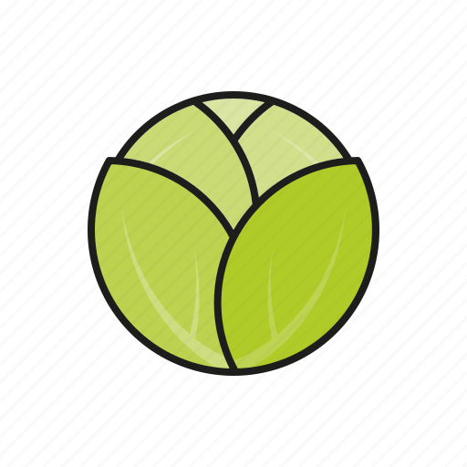 Cabbage, food, leaf, vegetables, white vabbage icon - Download on Iconfinder