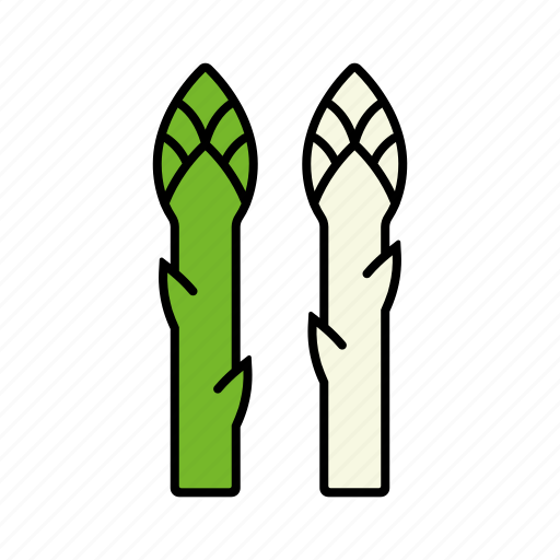 Asparagus, food, green, sprout, vegetables, white icon - Download on Iconfinder