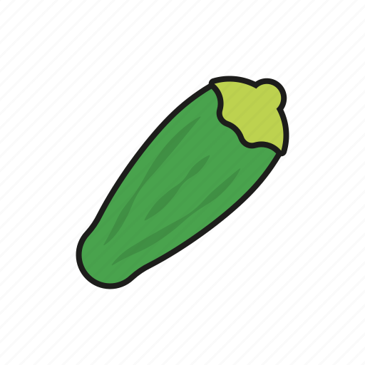 Food, gourd, vegetables, zucchini icon - Download on Iconfinder