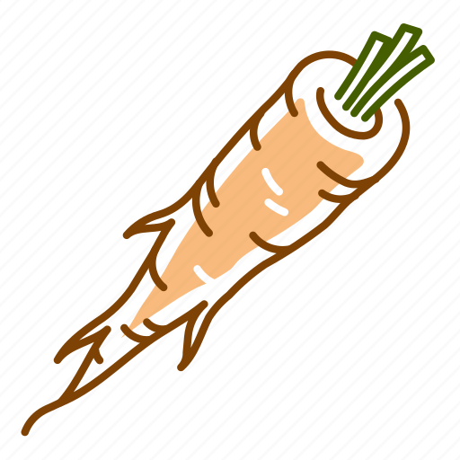 Food, parsley, parsley root, root, vegetable icon - Download on Iconfinder