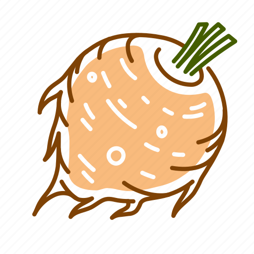 Celery root, food, root, vegetable icon - Download on Iconfinder