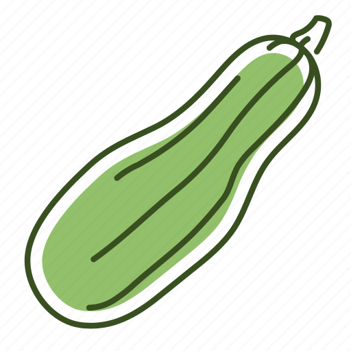 Food, squash, vegetable icon - Download on Iconfinder