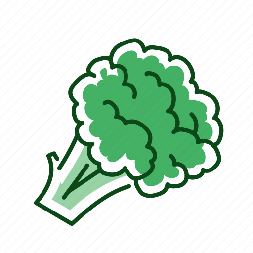 Broccoli, food, vegetable icon - Download on Iconfinder