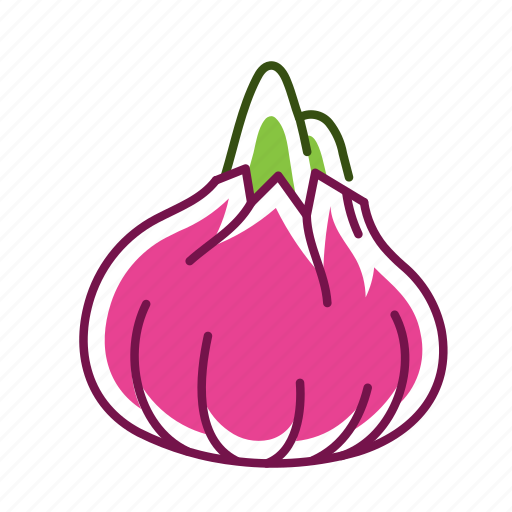 Food, onion, red onion, vegetable icon - Download on Iconfinder