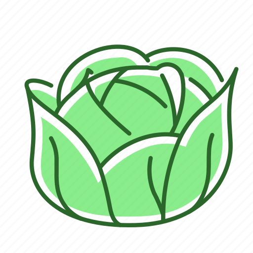 Cabbage, food, vegetable icon - Download on Iconfinder