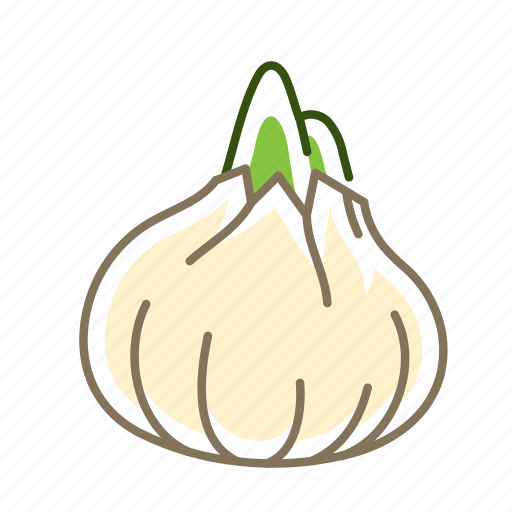 Food, onion, vegetable, white onion icon - Download on Iconfinder