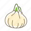 food, onion, vegetable, white onion 