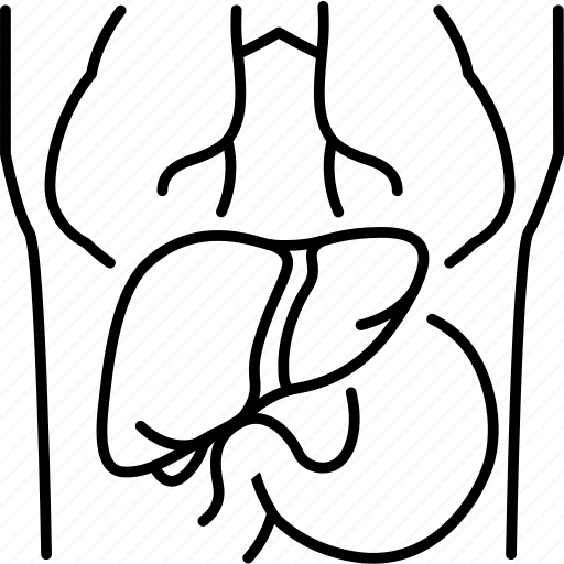 Mri, body, liver, examination icon - Download on Iconfinder