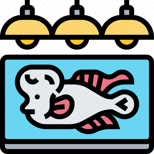 Aquarium, fish, pet, animal, interior icon - Download on Iconfinder