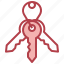 keychain, key, ring, security, keys 