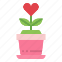 love, plant, heart, valentine, pot, botanical, flower