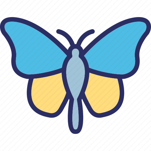 Butterfly, glider butterfly, insect, lepidoptera icon - Download on Iconfinder