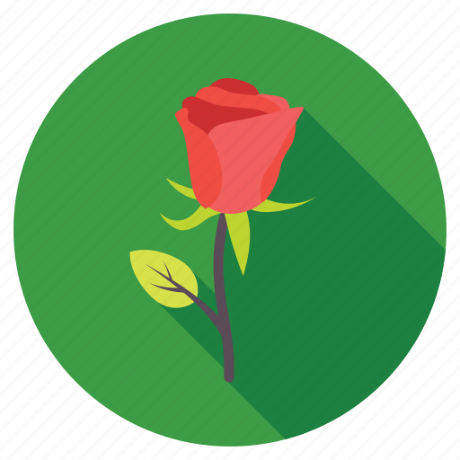 Blossom, red rose, rose, rose bud, rose flower icon - Download on Iconfinder