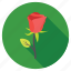 blossom, red rose, rose, rose bud, rose flower 