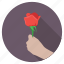 giving flower, giving rose, in love, proposal, valentine 