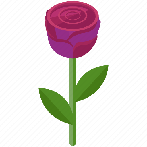 Floral, flower, gift, love, rose, valentine icon - Download on Iconfinder