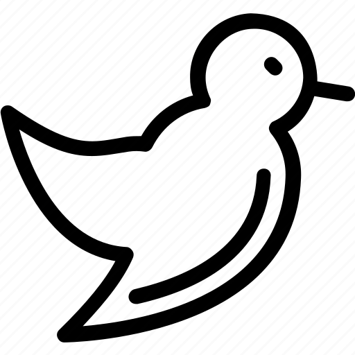Bird, love message, loving bird, pigeon, romance icon - Download on Iconfinder