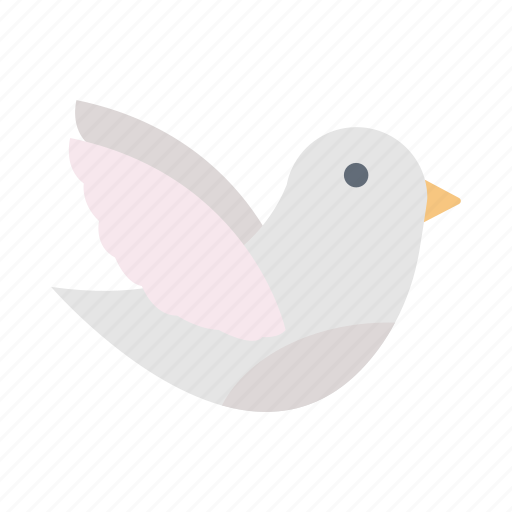 Valentine, dove, love, peace, wedding icon - Download on Iconfinder