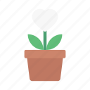 love, valentine, heart, plant, growth