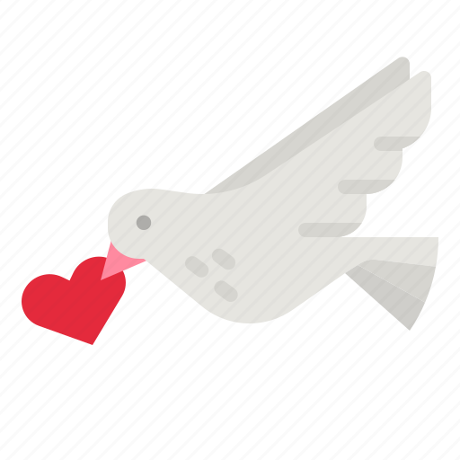 Dove, pigeon, bird, peace, animals icon - Download on Iconfinder