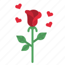 rose, flower, botanical, blossom, valentine