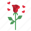 rose, flower, botanical, blossom, valentine 