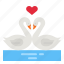swans, romantic, bird, couple, heart 