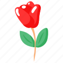 love, rose, flower, valentine, romance