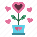 love, plant, heart, flower, nature, romance