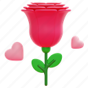 rose, botanical, aroma, perfume, blossom, petals, flower, 3d 