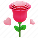 rose, botanical, aroma, perfume, petals, blossom, flower, 3d 