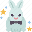 bunny, rabbit, animal, magic, circus