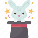 rabbit, bunny, magic, hat, circus