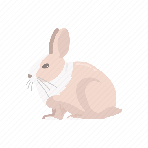 Bunny, easter bunny, hare, jack rabbit, mammal, rabbit icon - Download on Iconfinder