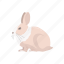 bunny, easter bunny, hare, jack rabbit, mammal, rabbit 