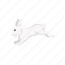 animal, bunny, easter bunny, hare, jack rabbit, mammal, rabbit