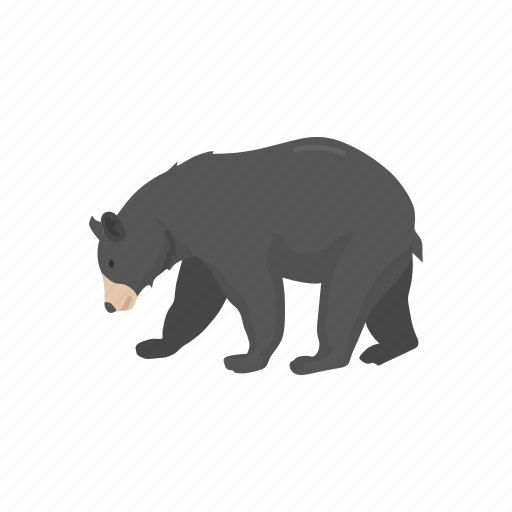 American black bear, animal, bear, black bear, mammal, wild bear icon - Download on Iconfinder