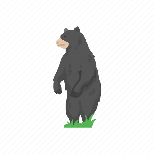 American black bear, animal, bear, black bear, mammals, wild bear icon - Download on Iconfinder
