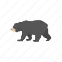 american black bear, animal, bear, black bear, mammals, wild bear