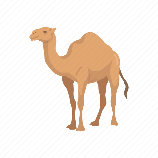 Animal, arabian camel, camel, domestic animal, dromedary, mammal icon - Download on Iconfinder