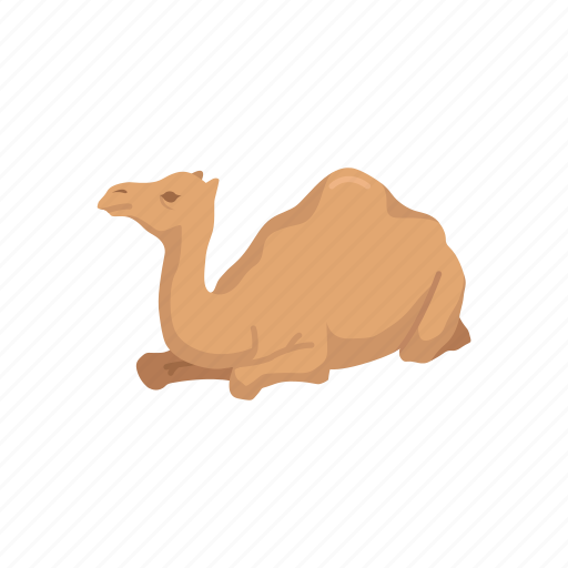 Animals, arabian camel, camel, domestic animal, dromedary, mammal icon - Download on Iconfinder
